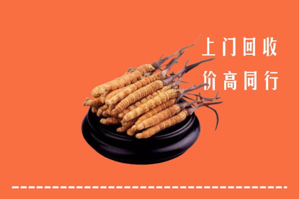 高价求购：黔南州瓮安县回收散虫草