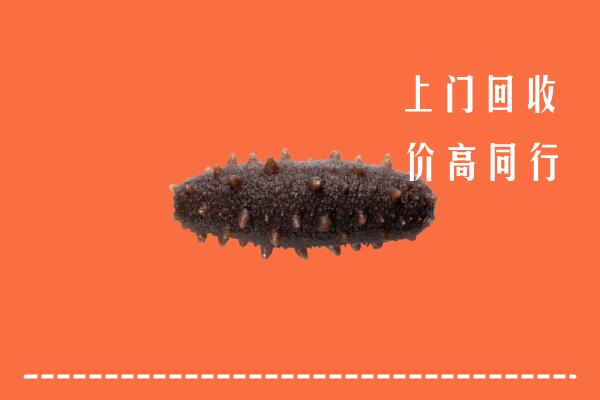 高价求购：黔南州瓮安县回收海参
