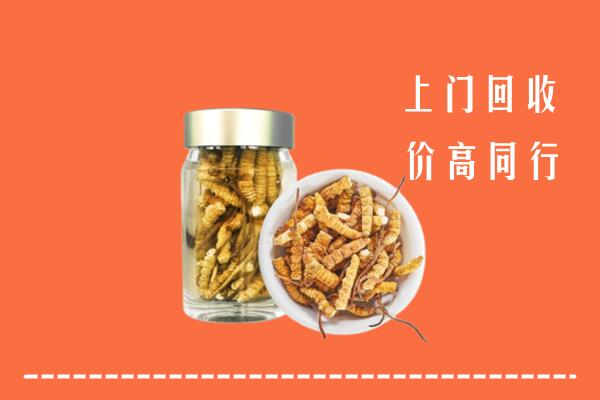黔南州瓮安县回收冬虫夏草